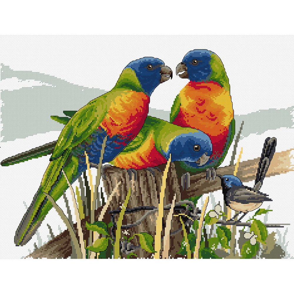 (image for) Lots of Lorikeets